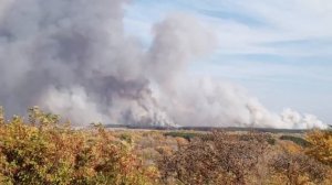 10 га сухой травы и лесной подстилки горит в Новохоперском районе.