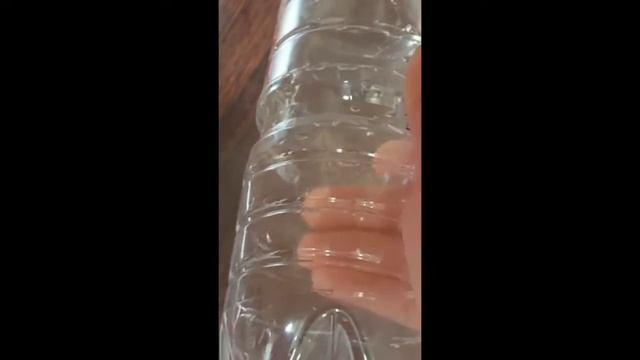 Как сделать очки для петов. Lana Sokol смотреть онлайн