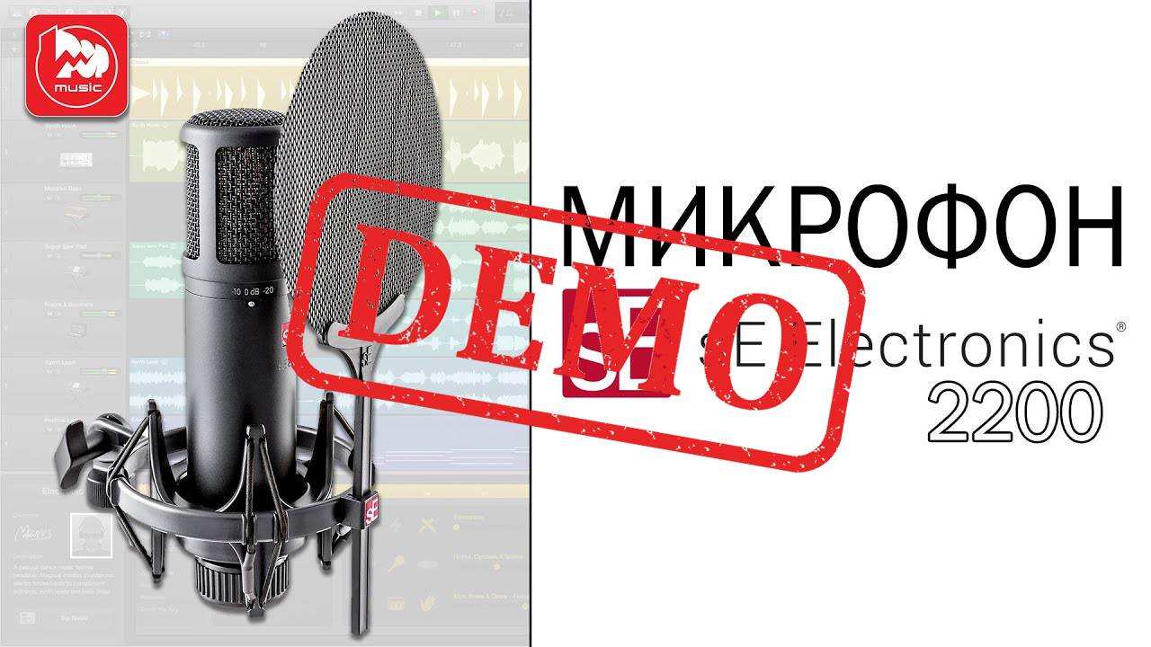 Микрофон SE ELECTRONICS SE 2200