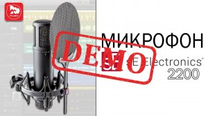 Микрофон SE ELECTRONICS SE 2200