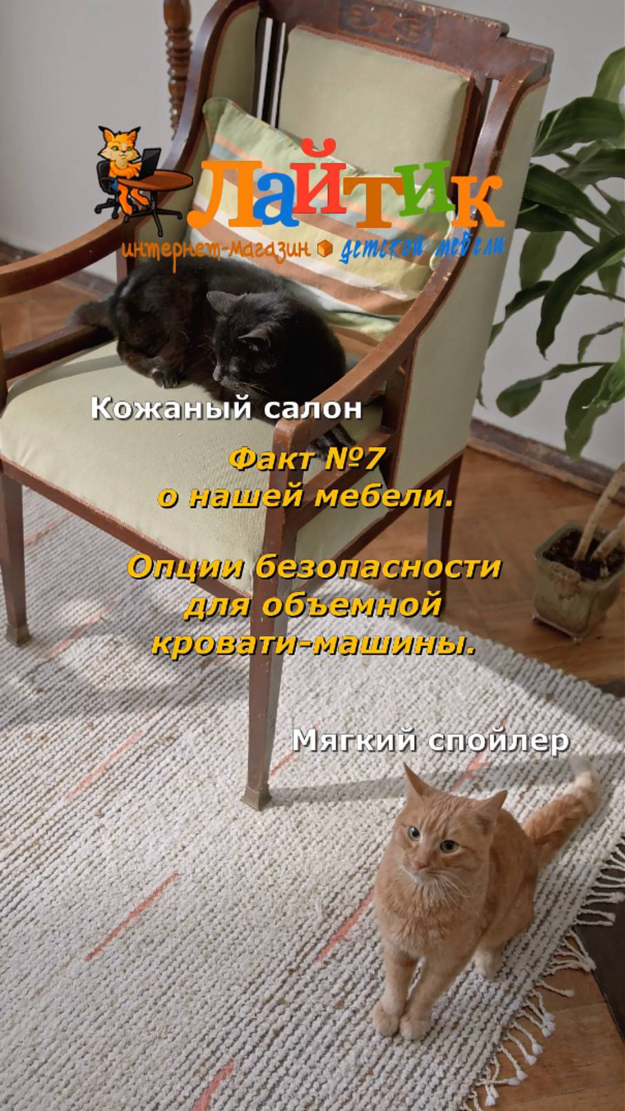 Секрет безопасного вождения кроватей-машин