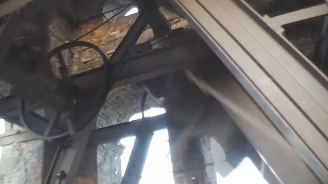 Le campane di Piano di Coreglia, Lucca - 9 Agosto 2014 смотреть онлайн