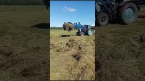 Погрузчик навесной КУН Робокоп NEO ПКУ 0,8 на трактор МТЗ, Т 40, ЮМЗ, ЛТЗ