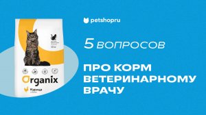 5 рандомных вопросов про корм ветеринарному врачу