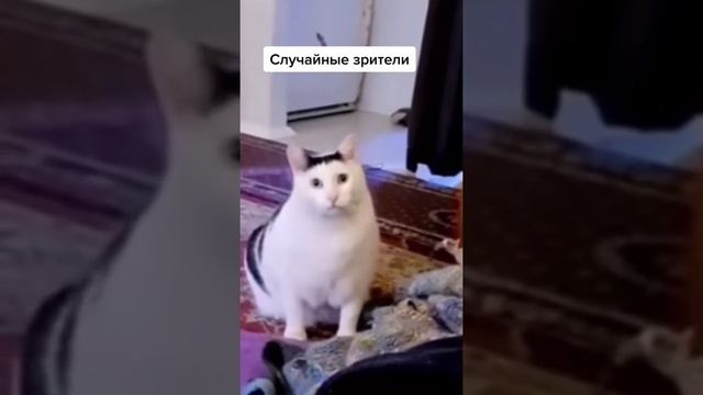 Кожа не растягивается от массажа если что #уходзалицом #самомассажлица