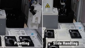 Automated Multiplexed Staining an Imaging with Cell DIVE