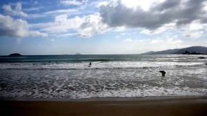 Вьетнам Нячанг погода 3 января 2024 года