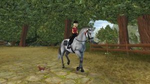 OUR 6TH BIRTHDAY! NEW FEATURE! | Star Stable News