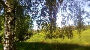 Между светом и тенью один шаг, одно мгновение, часть времени.