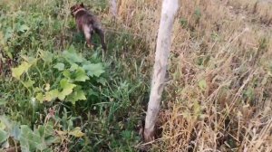 ПОЧЕМУ МЫ НЕ ЗАНИМАЕМСЯ ТЕПЛИЧНЫМ ДЕЛОМ ЗИМОЙ И СОБИРАЕМСЯ ЛИ?