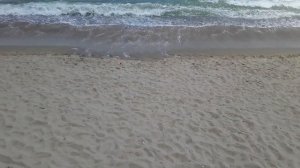 Вьетнам Нячанг погода 11 марта 2023 года