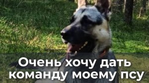 Очень хочу дать команду моему псу