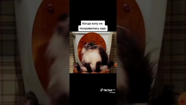 1000004551.mp4