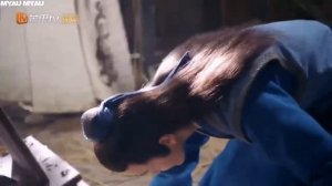 Невеста на одну ночь 1 сезон 24 серия