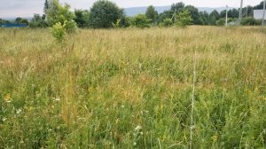 Башкирия, Иглинский район, д.Богдановское