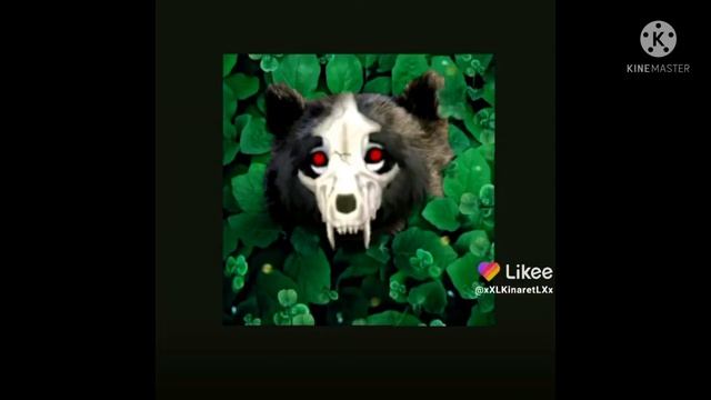 Подборка Likee wild craft🥕🥕 смотреть онлайн