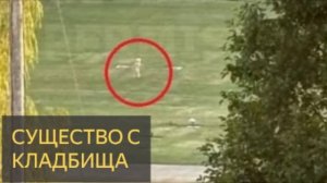 Что скрывается на кладбище? Неопознанные существа на фото