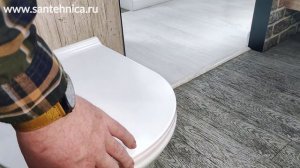 Подвесной безободковый унитаз Jacob Delafon Aleo, крышка микролифт, EDAH132-0