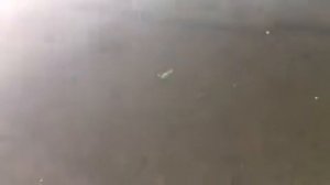 Поролонка Акустик Бейтс игра под водой