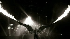 Rammstein - Engel English Version | English Lyrics + Türkçe çeviri | DFL