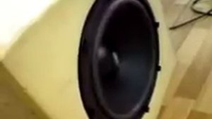 Динамик НОЭМА 300ГДН34-4...стоковый.