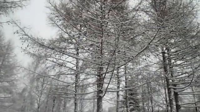 Екатеринбург зима Парк Таганский смотреть онлайн