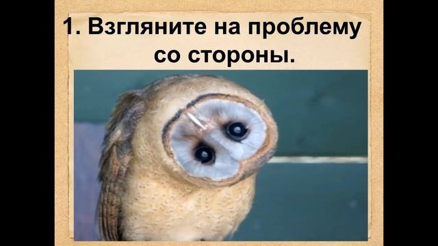 Набор риэлторов. Почему агентства недвижимости не могут построить систему набора риэлторов? смотреть онлайн