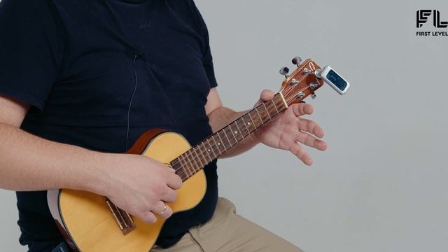 First Level / Курс для начинающих по Укулеле