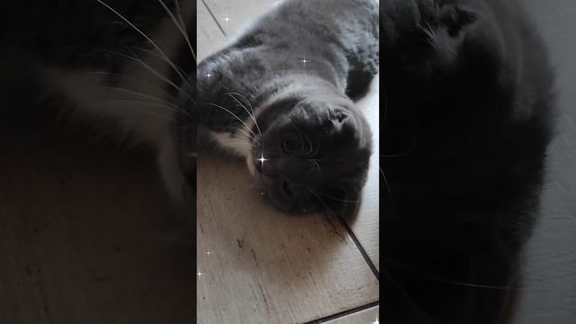 Марсюша поздравляет Бабушку с Днём Рождения! ❤