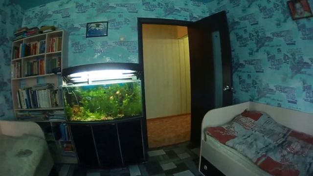 город Димитровград, улица Московская дом 30 смотреть онлайн