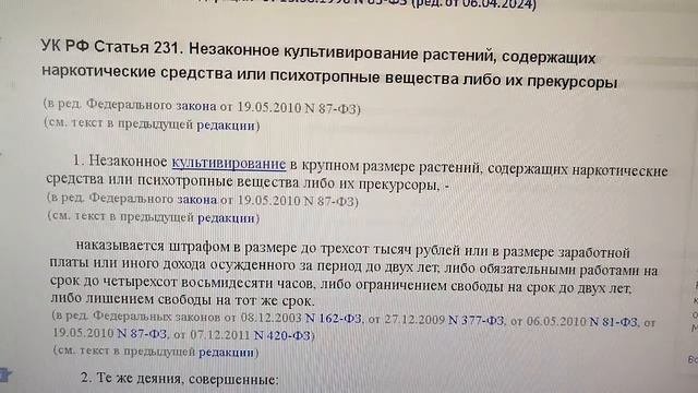 ⛔    Посадил! Вырастил? В тюрьму! За выращивание каких растений предусмотрена ответственность…