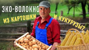 ТКАНИ ИЗ КАРТОШКИ И КУКУРУЗЫ. ТАКОЕ ВОЗМОЖНО? БИОРАЗЛАГАЕМЫЕ И ЭКОЛОГИЧНЫЕ ПОЛИЛАКТИДНЫЕ ВОЛОКНА