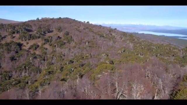 Lonconao Quelentaro смотреть онлайн