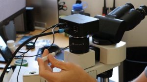 How to Focus a Microscope Camera Adapter with Munday Microscope Company