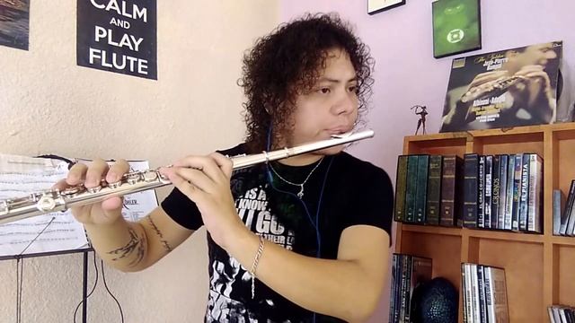 Mägo de Oz - La cruz de Santiago, cover en flauta traversa, Guitarra : Alan MOR. смотреть онлайн