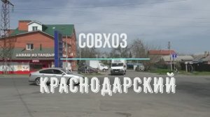 Совхоз Краснодарский