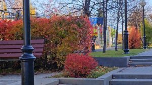 Лесная Поляна (Кемерово)