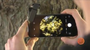 Carson MicroFlip 100x-250x