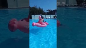 Розовый фламинго в бассейне