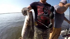 Ужение сомов с помощью квока. Двух поймали, один хороший ушел. Рыбалка в августе 2017