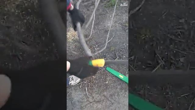 Gruntek Barracuda смотреть онлайн