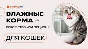 Влажные корма для кошек: это лакомства или это часть рациона?