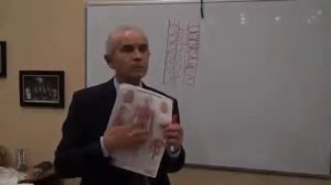 Городиский Б.В.: О пищеварении