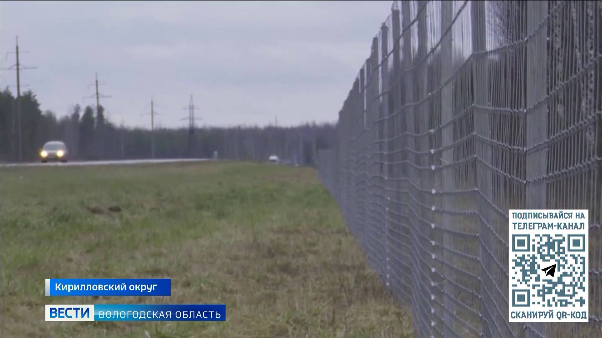 Свыше 16 километров ограждений от диких животных установлено в Кирилловском округе