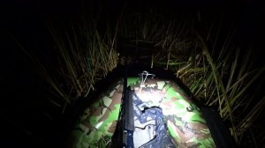 Осенняя охота на утку на рисовом болоте.