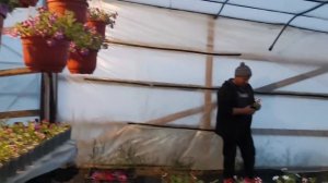 СЕЗОН ТОРГОВЛИ. ПЕРЕПАДЫ ТЕМПЕРАТУР. СЕЛЬСКАЯ ЖИЗНЬ ПРОСТЫХ ЛЮДЕЙ.