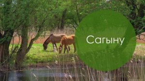 Сагыну. Татар халык жыры. Жырнын сузлэре видео астында.