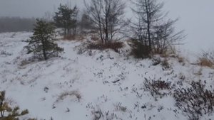 На болоте зимой