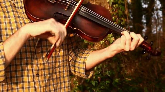 Kieran Towers смотреть онлайн