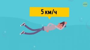 Кто быстрее всех в мире